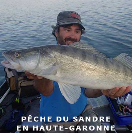 Guide de pêche a sandre en Haute-Garonne